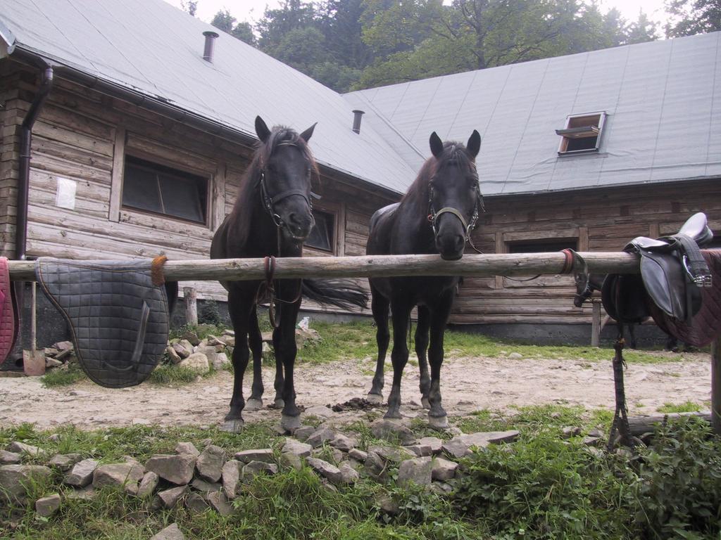 Osrodek Beskid Fizjo & Spa Korbielow Exterior photo