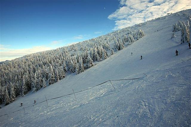 Osrodek Beskid Fizjo & Spa Korbielow Exterior photo